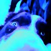 giopad_1
