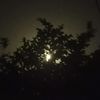 roohenoor040