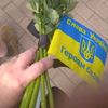 olenapotapenko817