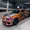 ikercr69