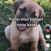 user294133422