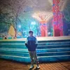 davidleinielconce