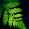 nature123400