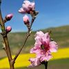 ali.shahabi714