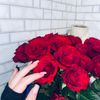 nika.ssq6