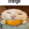 litlebitofluck