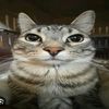 kimzz_62