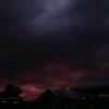 qerup_2354