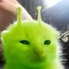 elvirame.just.doi