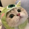 jellymeow_ne