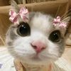 zazyoon