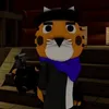 tigryrunsyou