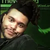 trixiexapplehurricane