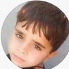 fake_samil31