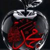 muhamadamir5608
