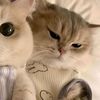 jessy_r.161