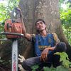 Chainsaws Inch