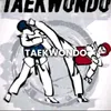 phc1348t3taekwondo