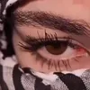 shvin_3