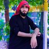 naseebhamdar