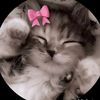 sweetpie2.1