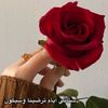 user10165450696371