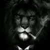 yllss7q
