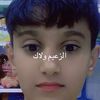 alza_em11