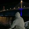 amine.attia31