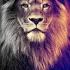 user9522288651401