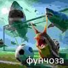 donmrxw