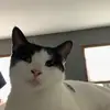 theryguy_17