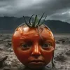 mrfolly57
