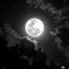moon._light_.1997