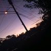 _kelly119