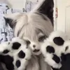 iccedd6
