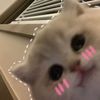 panaala