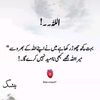 user44617070987505