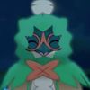 deci ᶻ 𝗓 𐰁 🌿🏹