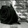 miguel.castillo4999