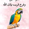 user50308042605306