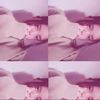 darr_501