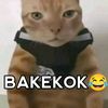 xavier.whehe