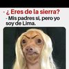 cronosklaalok