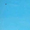 12_insomia