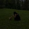 setayesh._4