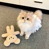Cute little animals
