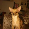 harpermilligan8