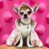 HealingPaws007
