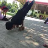 rentzy06